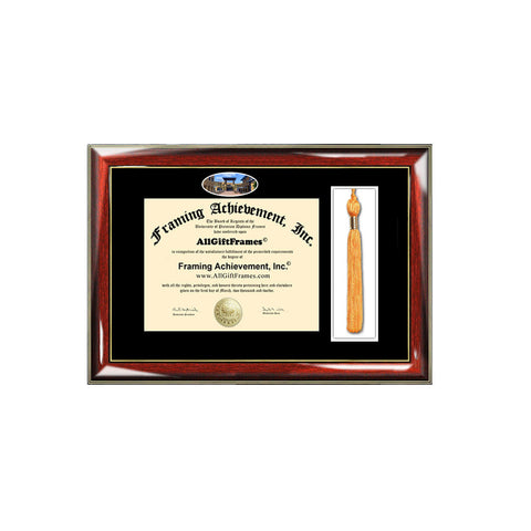 University of California Irvine Tassel Diploma Frame UCI Campus Picture Double Degree Plaque Tassel Holder Framing Graduation Gift Bachelor Master MBA Doctorate PHD Certificate Case