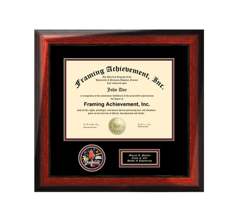Shadow box medal graduation college diploma frame high school university 3D graduate gold medallion certificate school honor medals framing