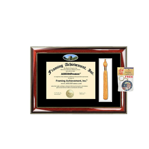 University of Michigan Tassel Diploma Frame Michigan Campus Picture Double Degree Plaque Tassel Holder Framing Graduation Gift Bachelor Master MBA Doctorate PHD Certificate Case