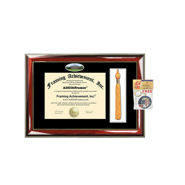 University of Illinois Urbana Champaign Tassel Diploma Frame Degree School Illinois Campus Photo Custom Tassel Holder Case College Plaque Certificate Degree Frames Certificate Framing Graduation Gift