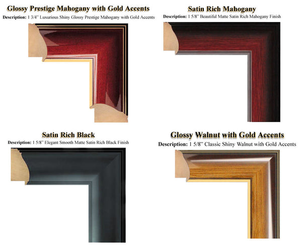 Declaration of Independence Frame Replica Print Gold Logo & Embossing Matted Black Attorney Lawyer Law School Graduates Graduation Gift