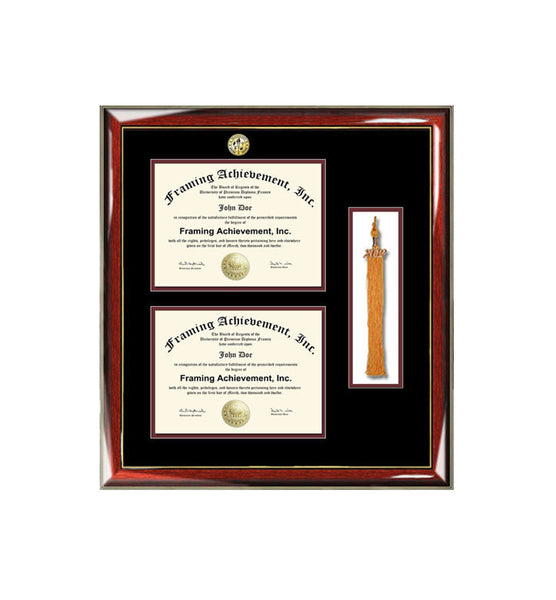 Graduation tassel diploma frame college major logo double degree plaque holder two documents framing certificate tassel box shadowbox gift