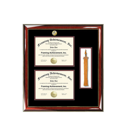 Graduation tassel diploma frame college major logo double degree plaque holder two documents framing certificate tassel box shadowbox gift